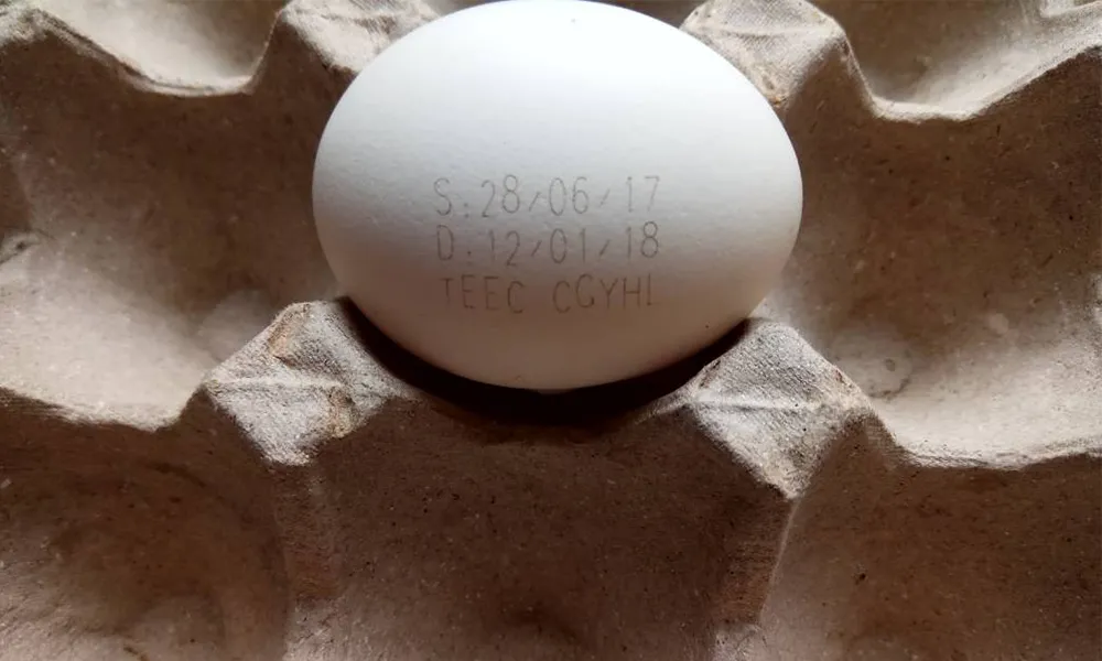 egg marked by co2 laser machine