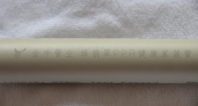 Double Head Flying Fiber Laser Marking Machine Maker